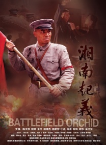 啊哈哈哼啊哈小说